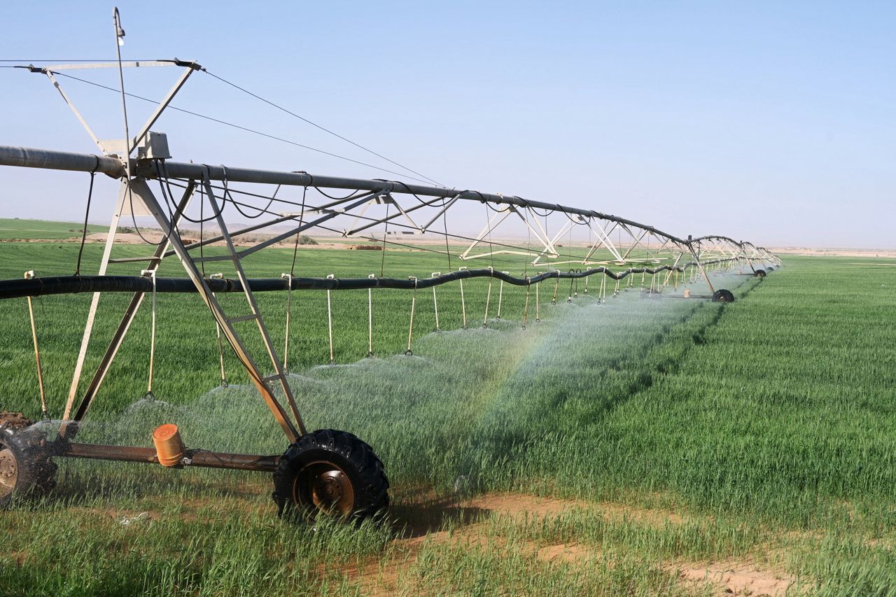 Services A sprinkler system irrigating lush green agricultural fields in Tabuk, Saudi Arabia under a clear sky.